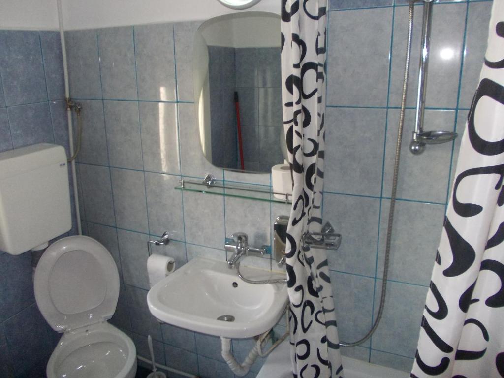 Pensiunea Adina Cavnic Habitación foto